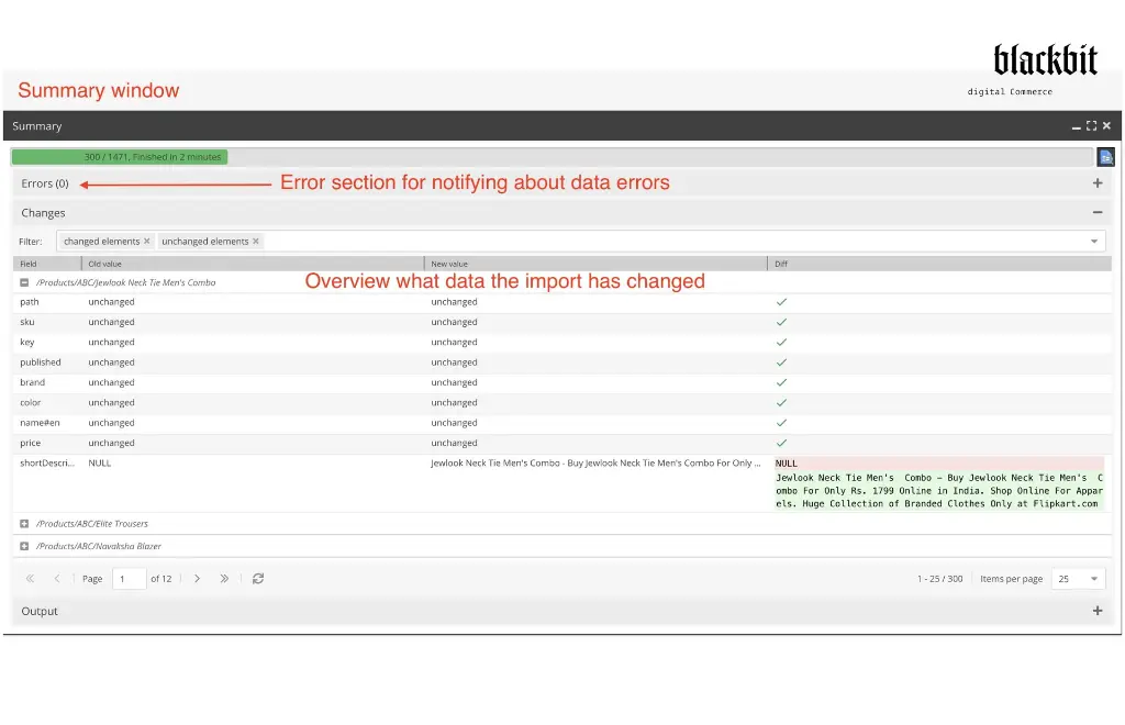 4-Blackbit-DataDirector-for-Pimcore_Summary-window_3328x2148.webp