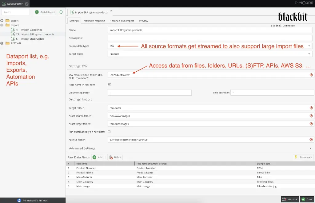 2-Blackbit-DataDirector-for-Pimcore_How it works_setup-raw-DataFields_3328x2148.webp